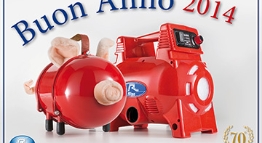 rigo_augura_Buon-Anno-2014