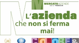 366-ita-x-web